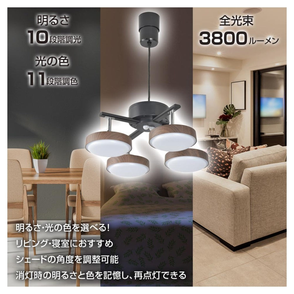 Ohm Electric LED 4-Bulb Pendant Light