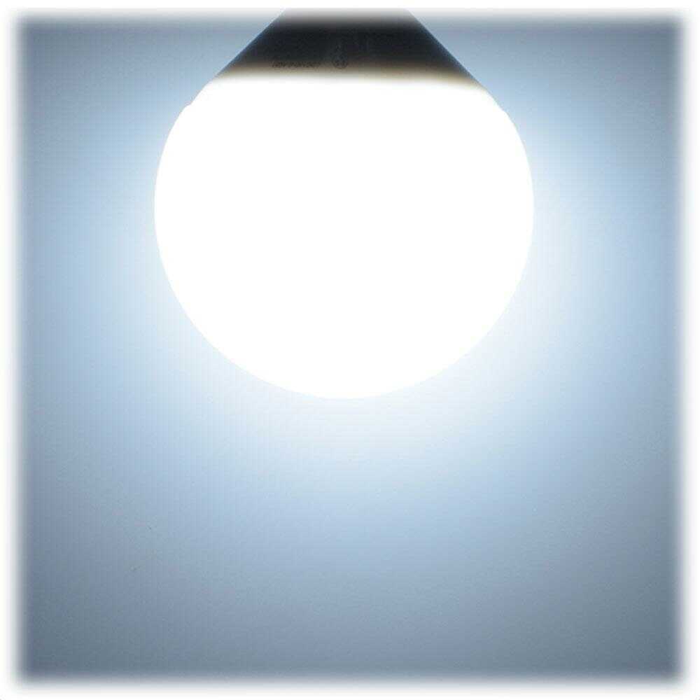 Ohm Electric LED Bulb Globe Shape E26 Equivalent to 100W - 1 Piece