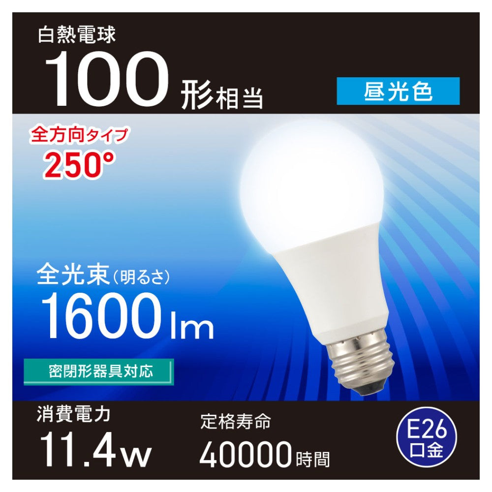 Ohm Electric LED Bulb E26 Equivalent to 100W Daylight (1 unit)
