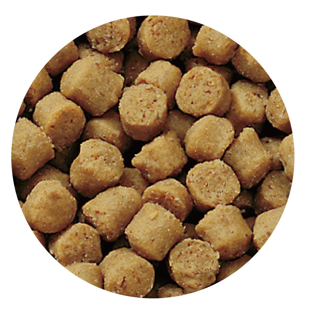 Marukan Sunrise Styles Shih Tzu Adult Dog Food 1.2kg