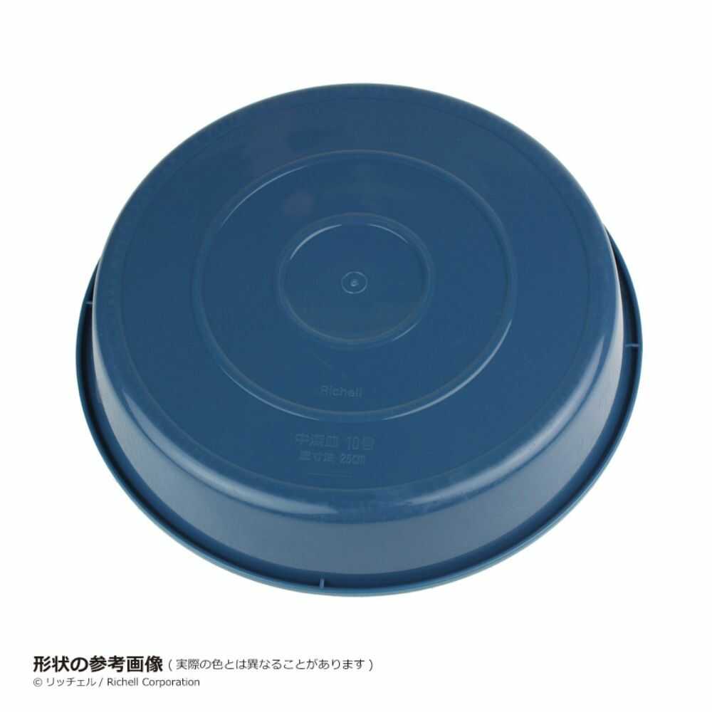 Richell Medium Deep Plate No. 6 1 Piece