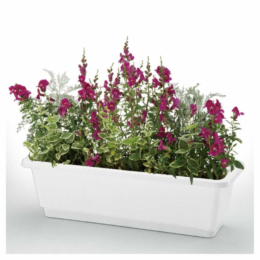 Richell Home Planter 65E 1 Piece