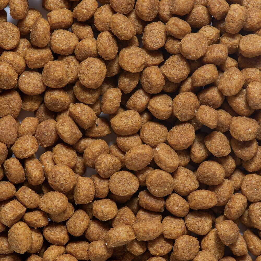 Dogyman Hayashi Daily Deru Deru Rice Skin & Coat and Digestive Health Care 200g