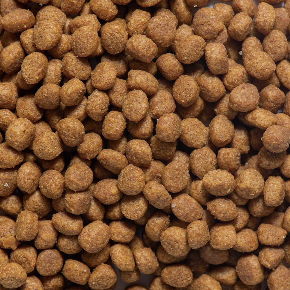 Dogyman Hayashi Daily Delish Food for Digestive Health with Added Fiber 200g