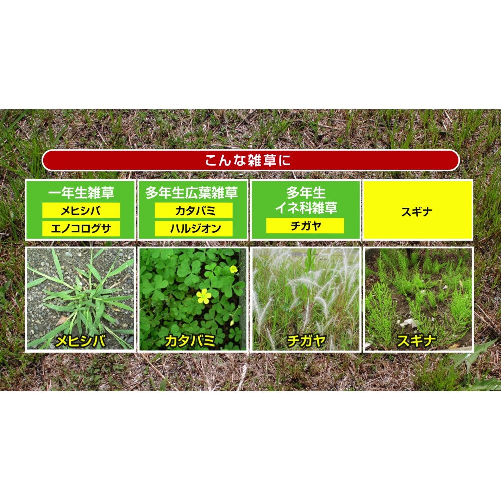 Sumitomo Chemical Gardening Weed Killer E Granules 8kg