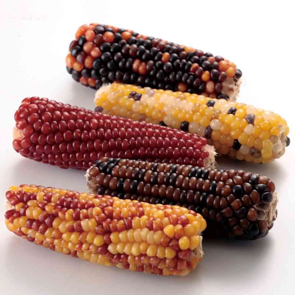 Mini Animan Small Animal Tasty Mini Corn 200g