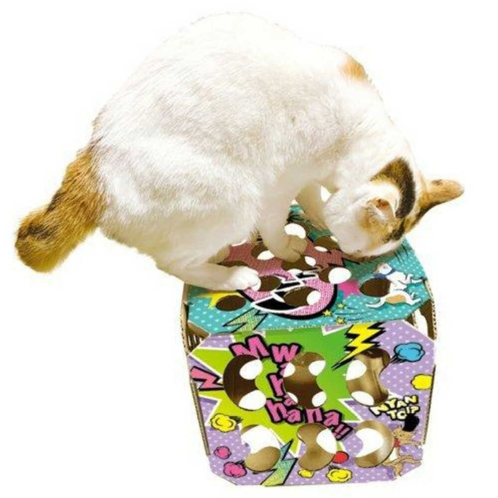 Cat Excitement Explosion Box