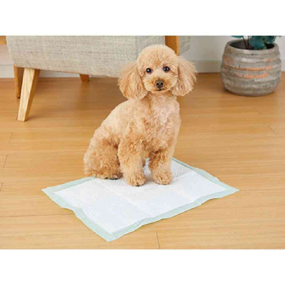 Bonbi Alcon Training Pads Double Deodorization Neo Regular 60 Sheets