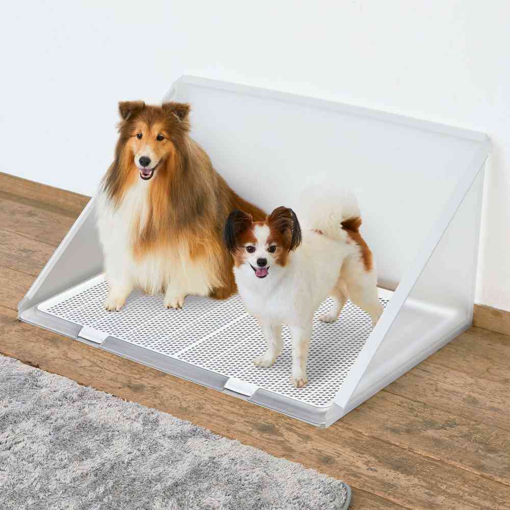 Plus Clean Litter Guard XL Size