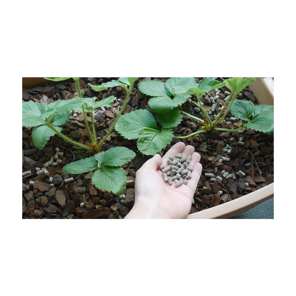 Hanagokoro Sweet Strawberry Fertilizer 2kg