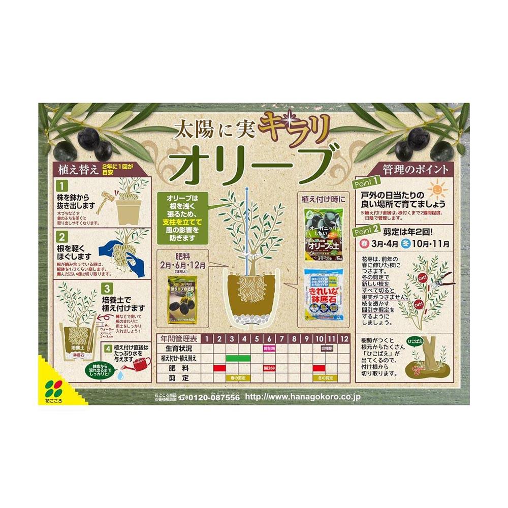 Hanagokoro Olive Soil 12L