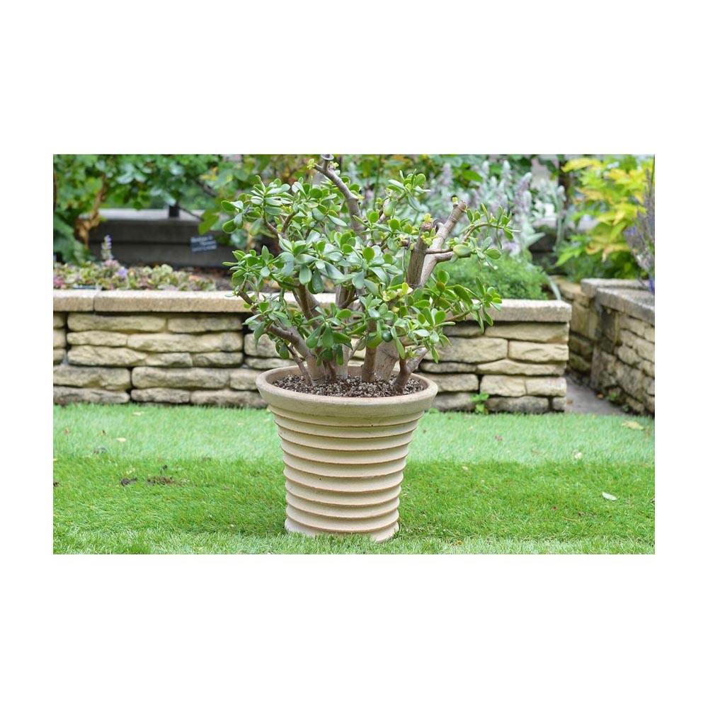 Hanagokoro Soil for Aloe and Money Tree 5L