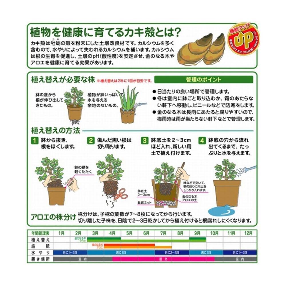 Hanagokoro Aloe Soil for Money Tree 12L