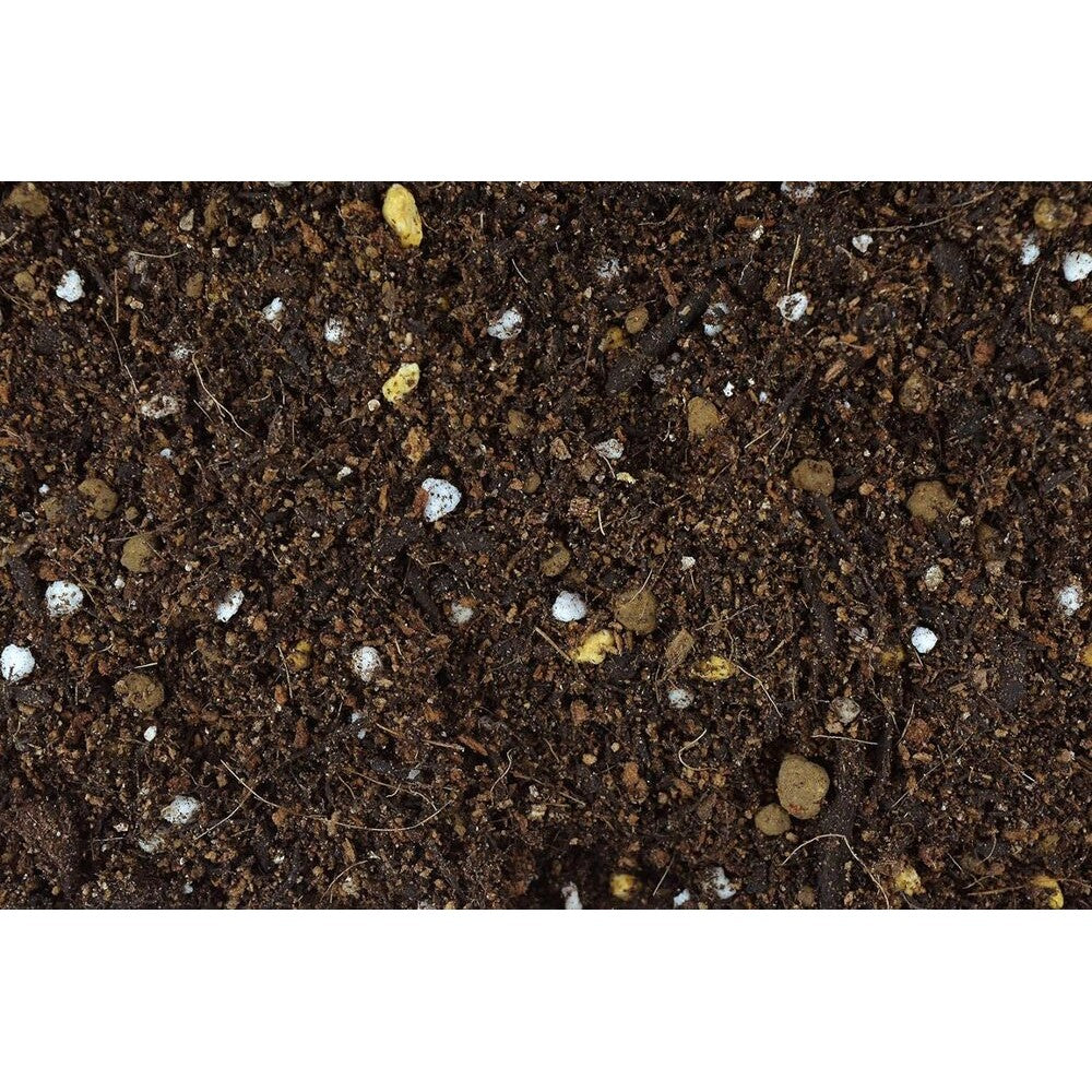 Hanagokoro Hanachan Potting Soil 5L