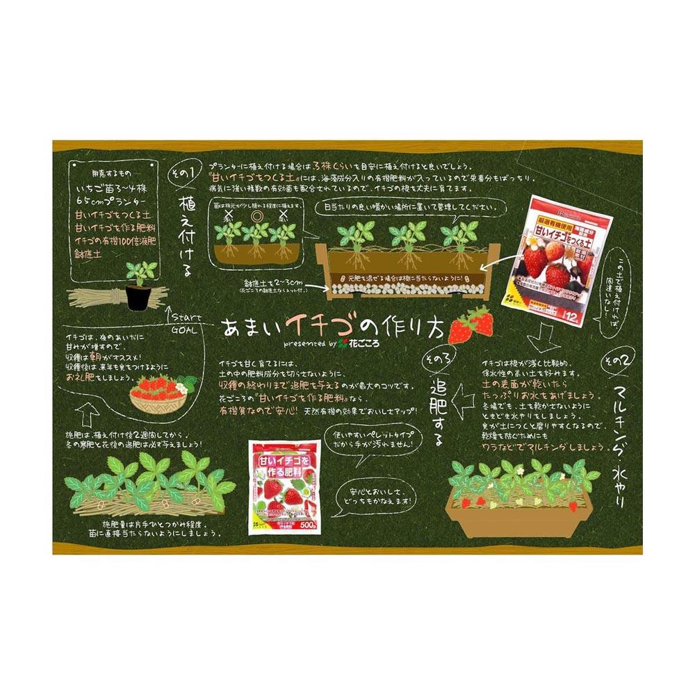 Hanagokoro Sweet Strawberry Soil 12L