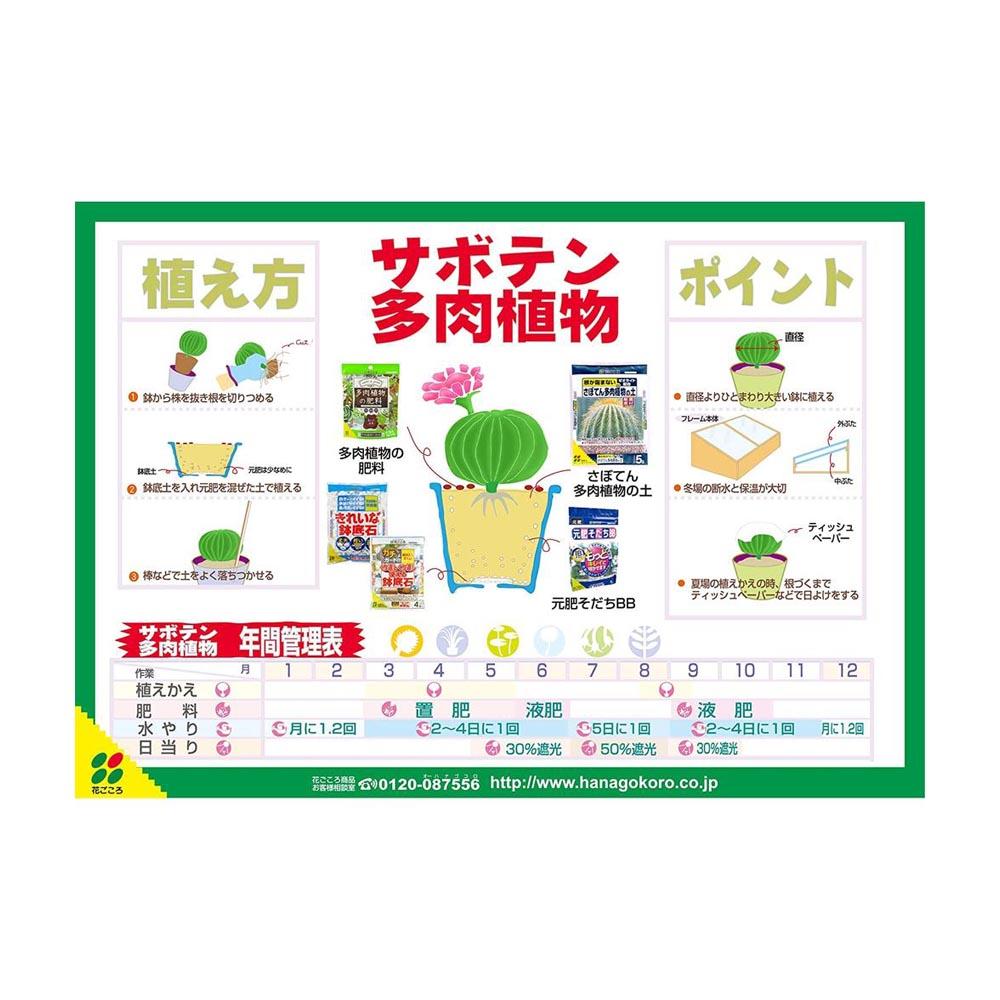 Hanagokoro Soil for Cacti and Succulents (Fine Grain) 5L