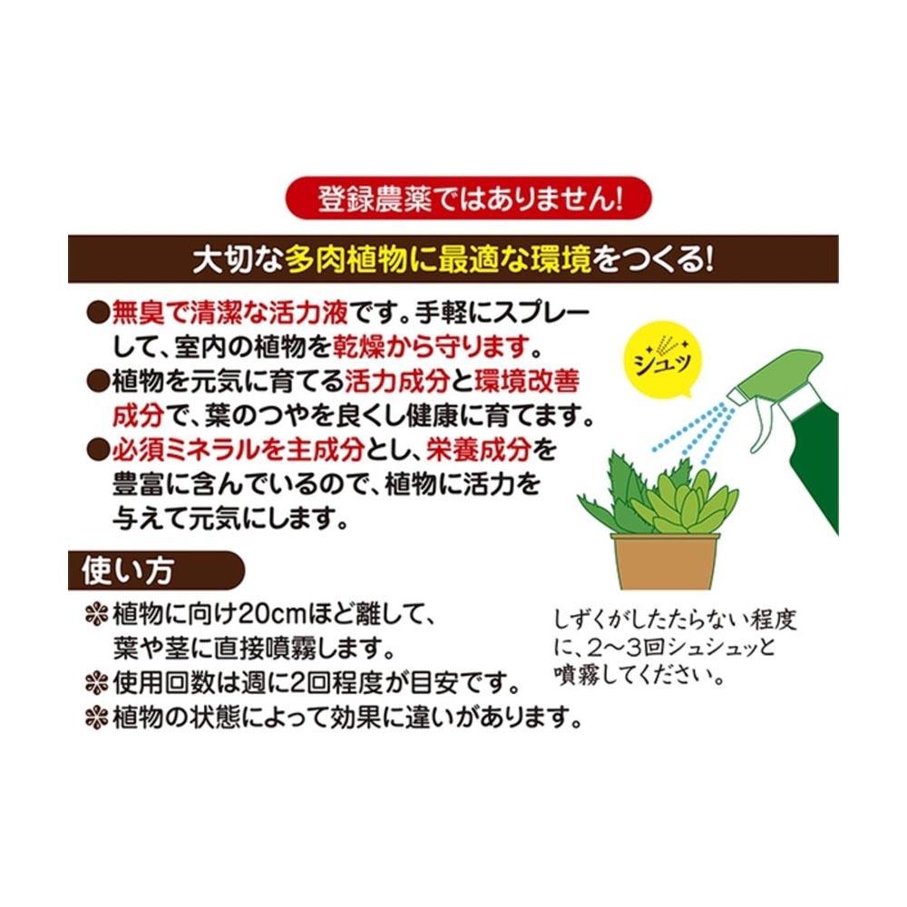 Hanagokoro Succulent Shine, Moisture, and Vitality Liquid 300ml