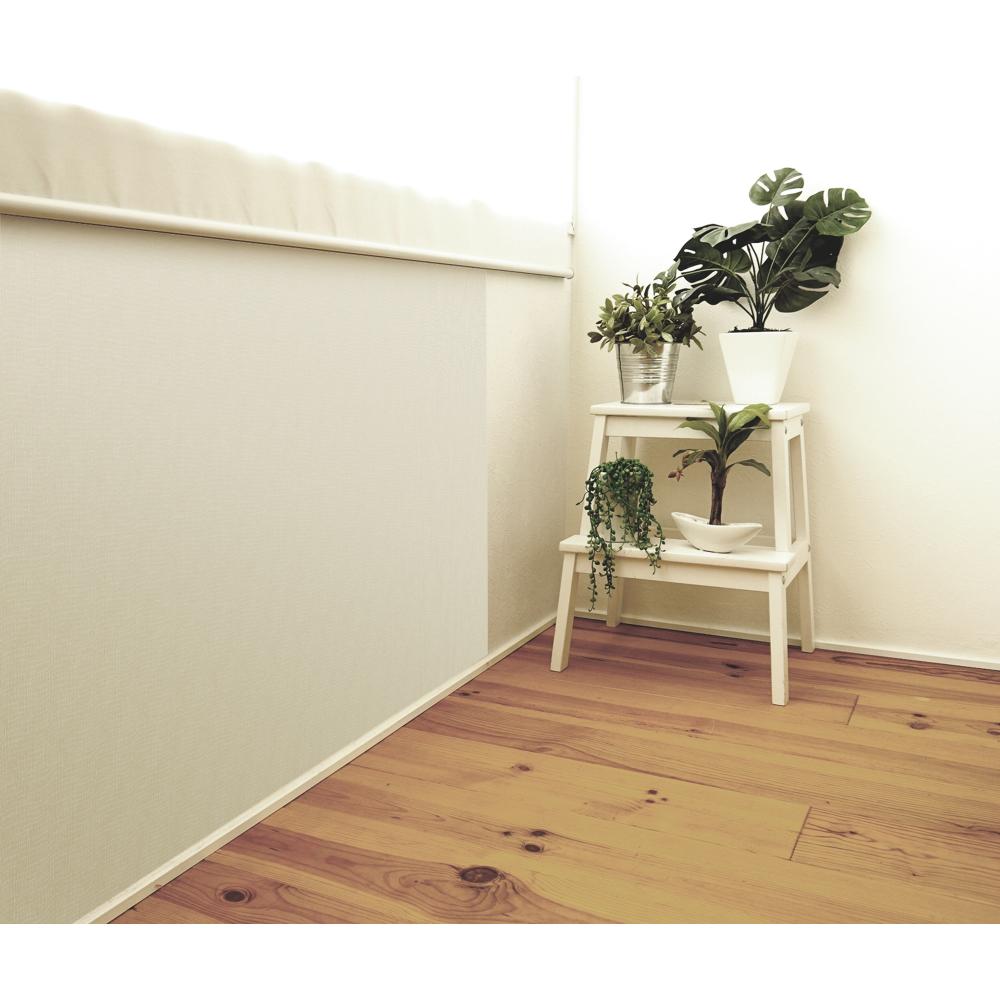 Scratch Damage Protection Sheet NTS-02 Plain L