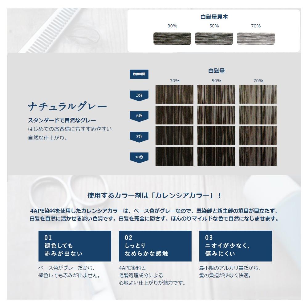 Hoyu Colorena Color Natural Gray 80g