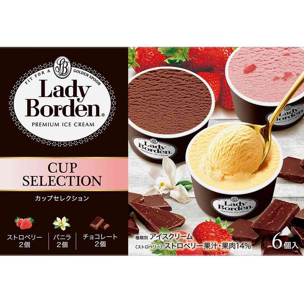 Lotte Lady Borden Multi Cup Selection 450ml x 10 boxes