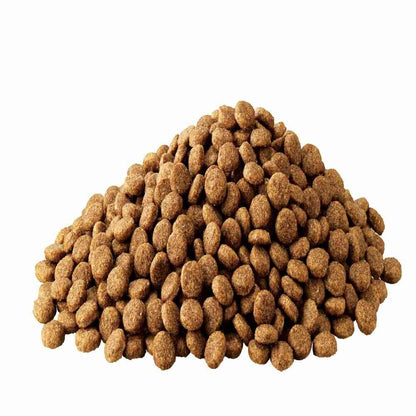 Mars Japan Limited Iams Health Support for Dogs 7 Years and Older Chicken Small Kibble 12kg