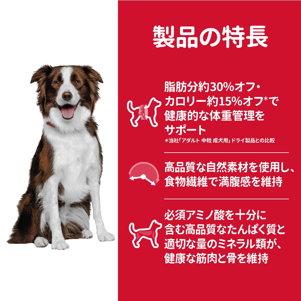 Hill's Science Diet Light Medium Bites for Overweight Adult Dogs 6.5kg