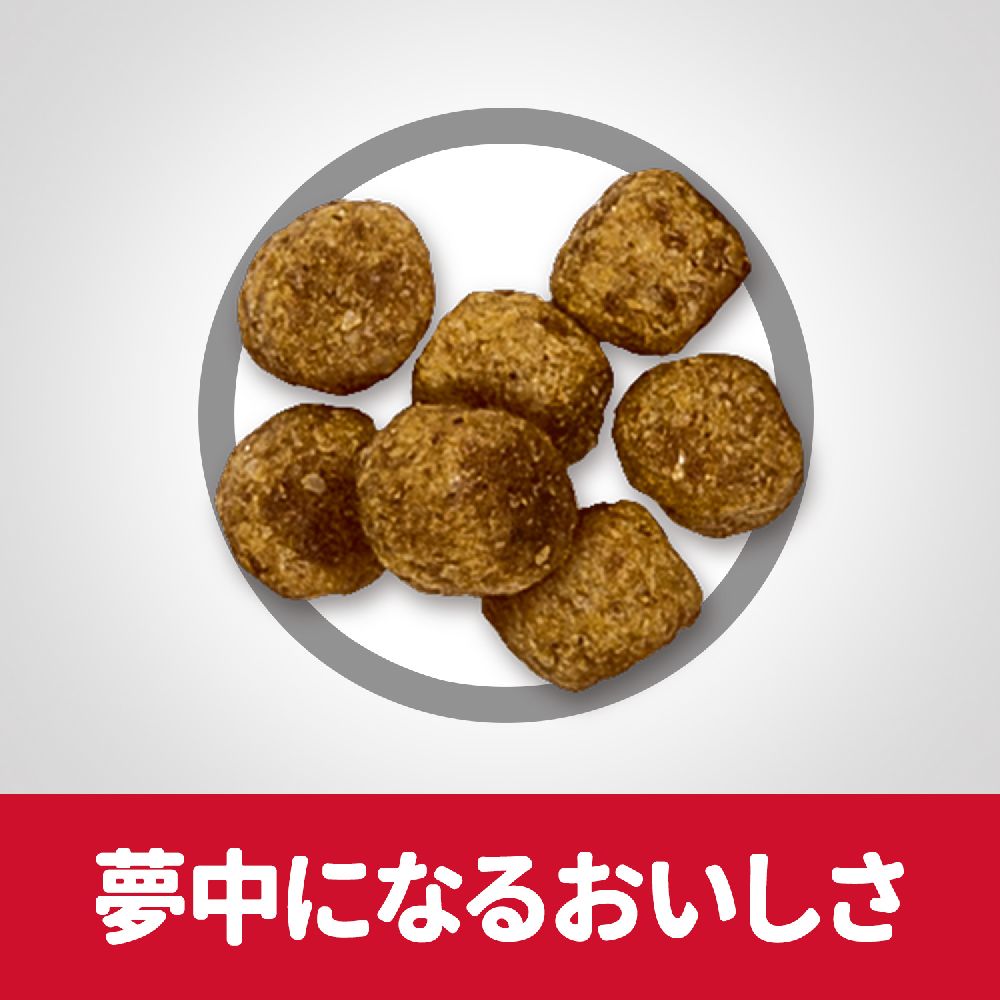 Hill's Science Diet Light Small Bites for Overweight Adult Dogs 6.5kg