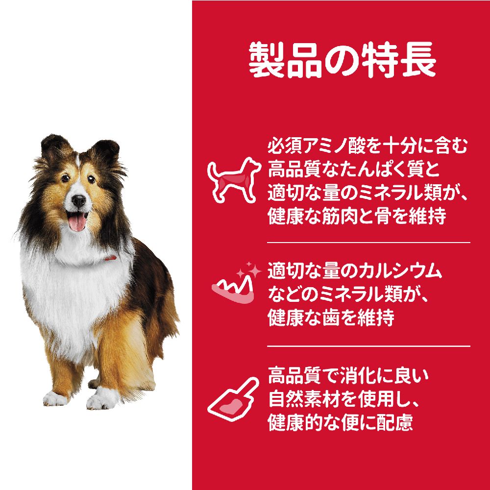 Hill's Science Diet Adult Medium Bites Dog Food 6.5kg