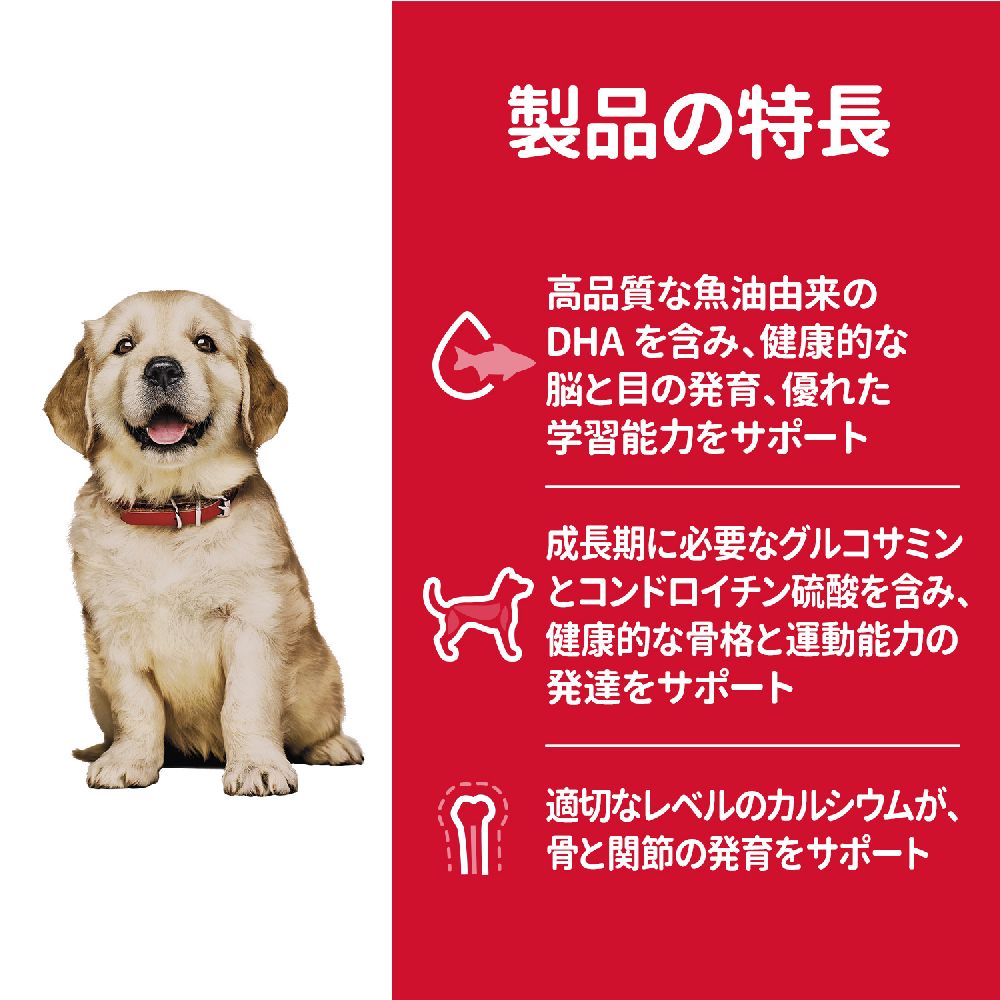 Hill's Science Diet Puppy Large Breed 12kg