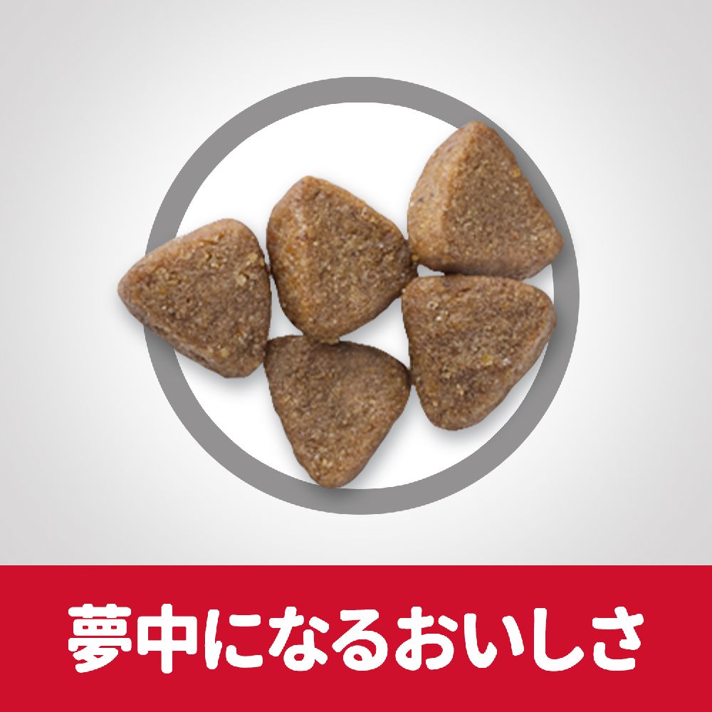 Hill's Science Diet Kitten Chicken 1.4kg