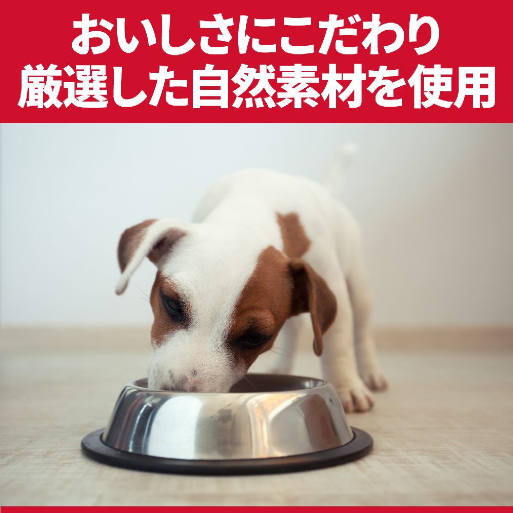 Hill's Science Diet Weight Management Small Bites for Neutered/Spayed Dogs 1 Year and Older 1.3kg