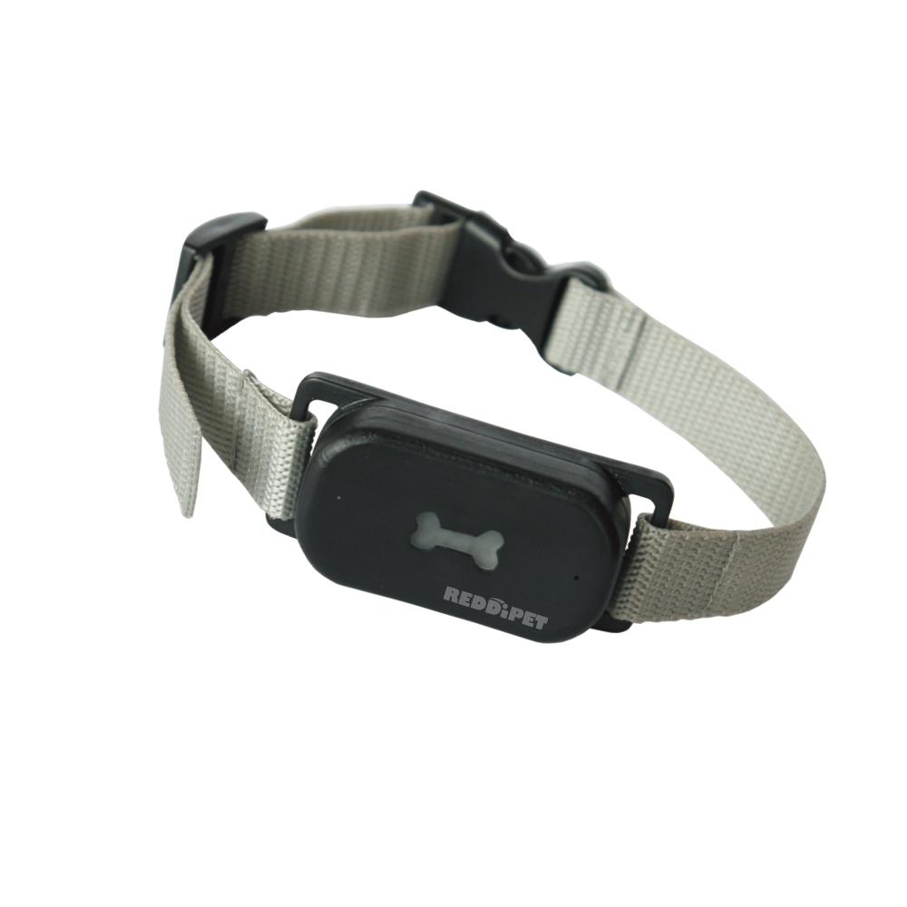 No Bark Training Collar S Size