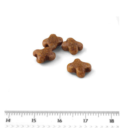Cat Kitten 400g