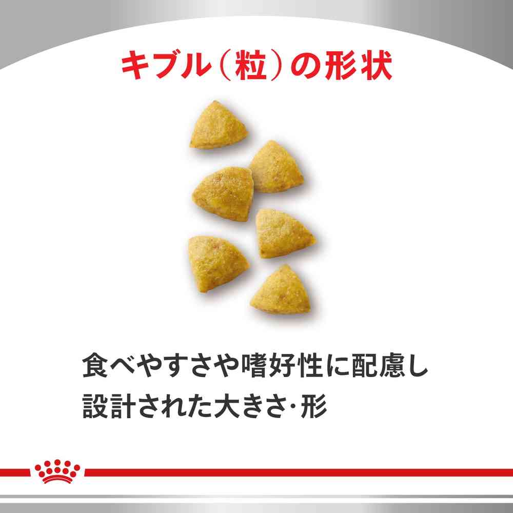 Cat Low Molecular Protein 500g