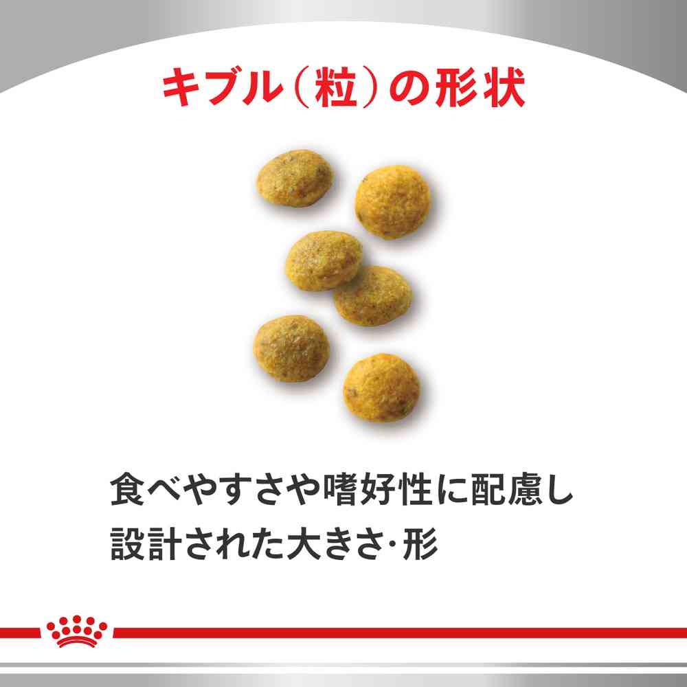 Cat Kidney Support 500g