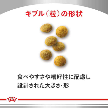 Cat Kidney Support 500g