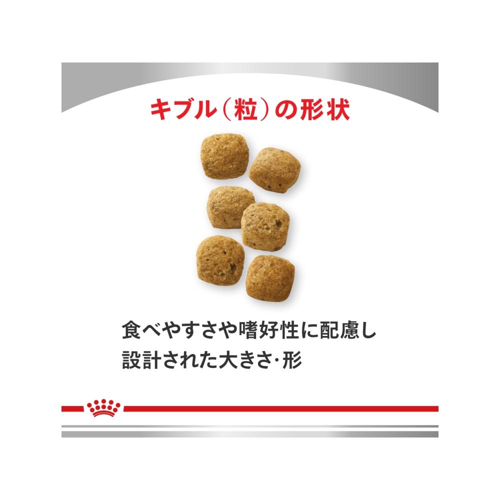 Dog Digestive Support (Low Fat) 1kg