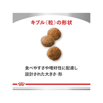 Dog Low Molecular Protein 1kg