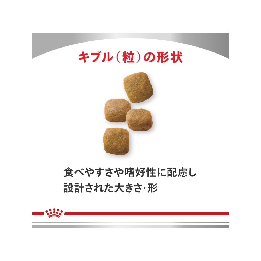 Dog Joint Support 1kg