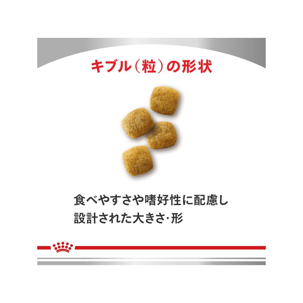 Kidney Support for Dogs 1kg