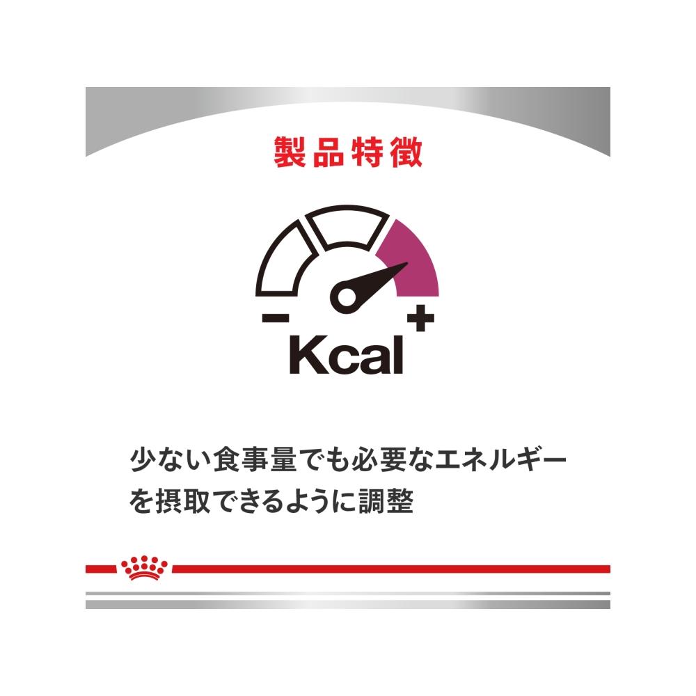 Kidney Support for Dogs 1kg