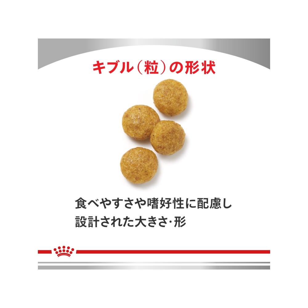Canine Liver Support 8kg