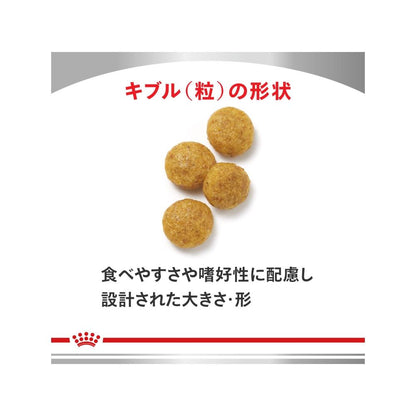 Canine Liver Support 8kg