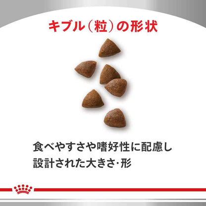 Cat Digestive Support 2kg
