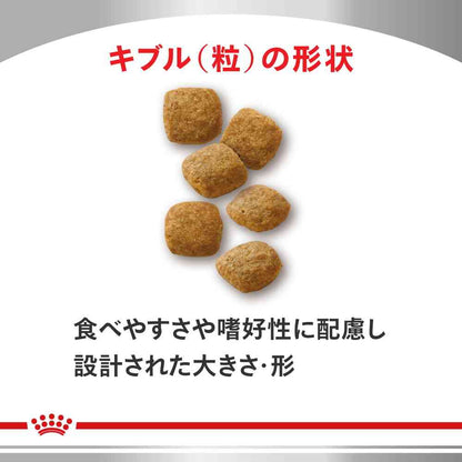 Cat Sugar Control 4kg