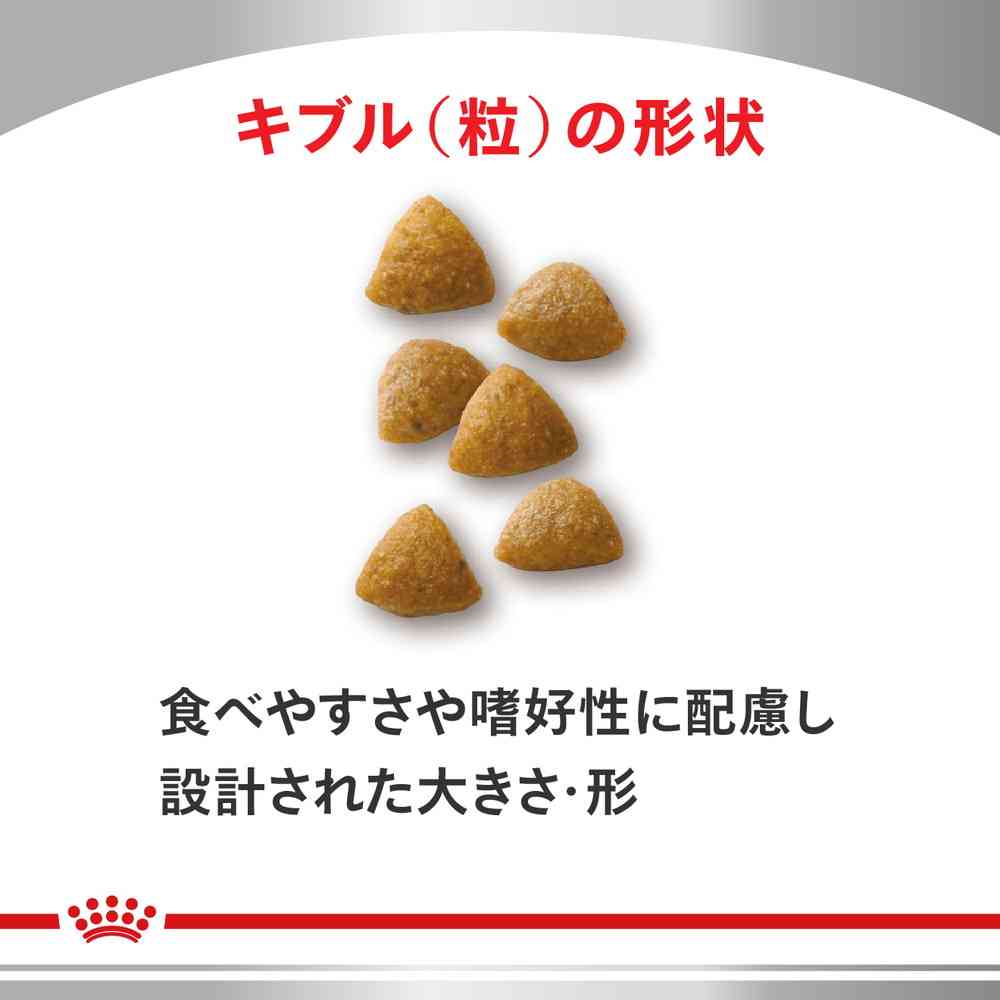 Cat Kidney Support Special 500g