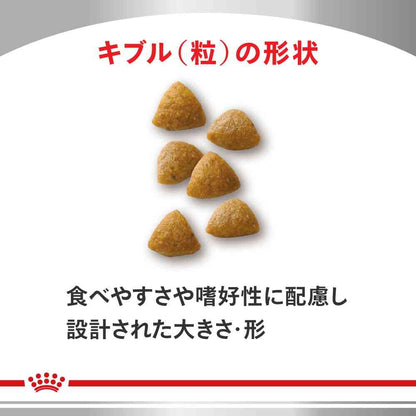 Cat Kidney Support Special 500g
