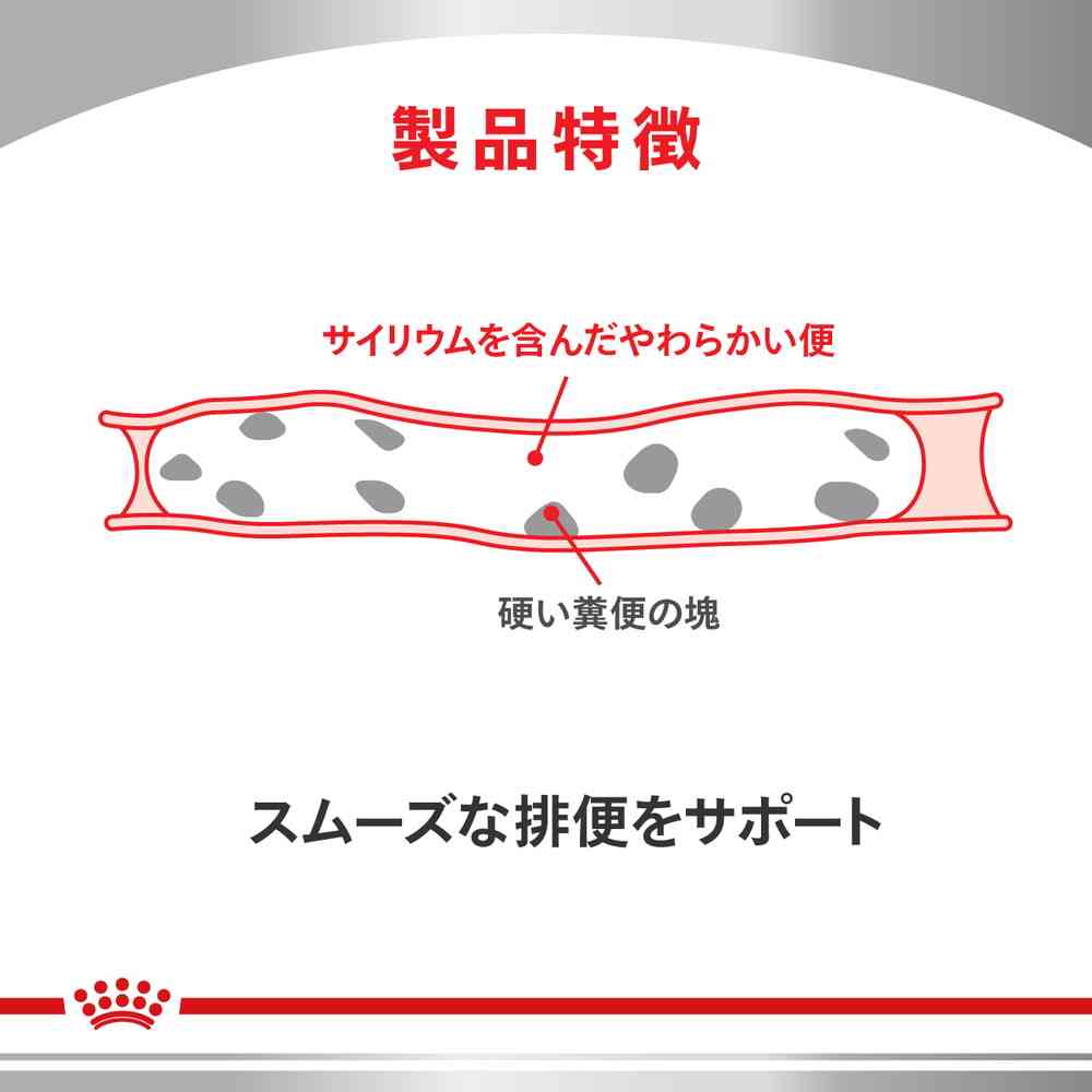 Cat Digestive Support (Soluble Fiber) 500g