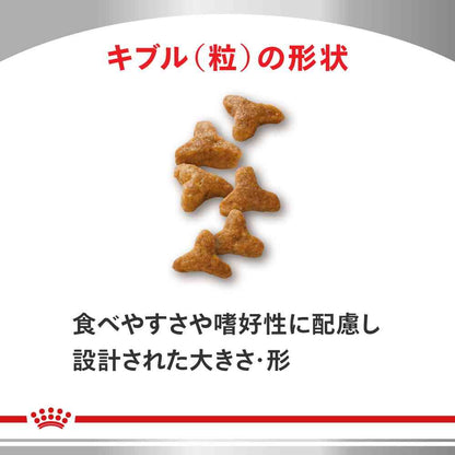 Cat Digestive Support (Soluble Fiber) 2kg
