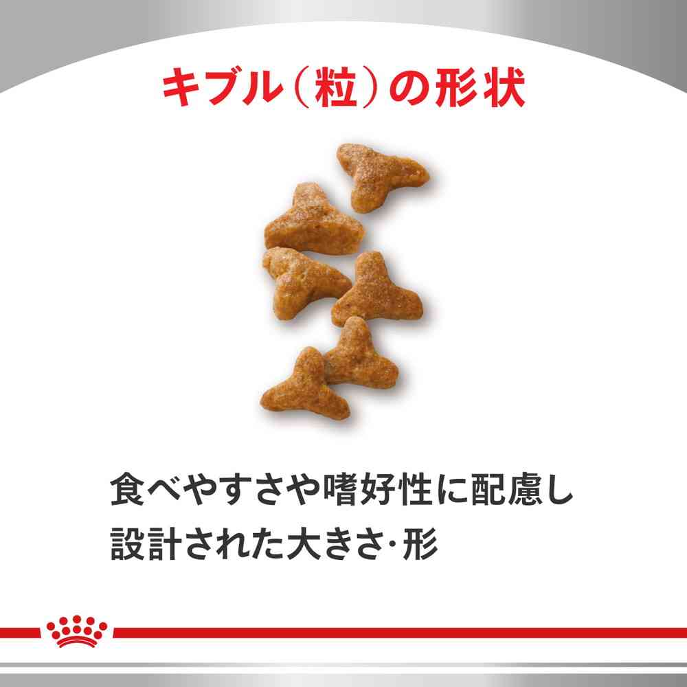 Cat Digestive Support (Soluble Fiber) 4kg
